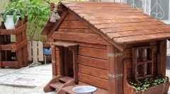 Dog house - ako si vybrať